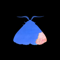 Chairlift - Crying in Public