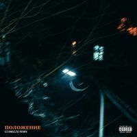 Скриптонит [Skryptonite] - Polozhenie (Izzamuzzic Remix)