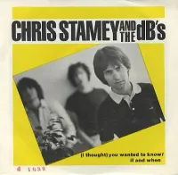 Chris Stamey And The DB's - (I Thought) You Wanted to Know / If and When