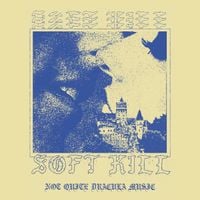 Soft Kill - Not Quite Dracula Music