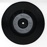 The Smashing Pumpkins - Rhinoceros / Siva