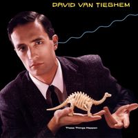 David Van Tieghem - These Things Happen