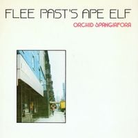 Orchid Spangiafora - Flee Past's Ape Elf