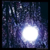 Six Organs of Admittance - Luminous Night