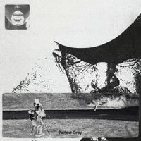 Joyer - Perfect Gray
