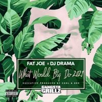 Fat Joe, DJ Drama, Cool & Dre - What Would Big Do 2021