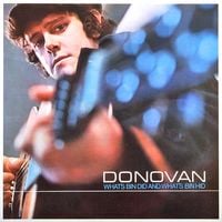 Donovan - What's Bin Did and What's Bin Hid