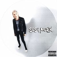 Платина [Platina] - Sosa Muzik