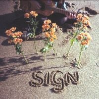 Liana Flores - Sign