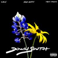 Wale - Down South