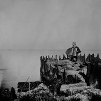 Walt McClements - A Hole in the Fence