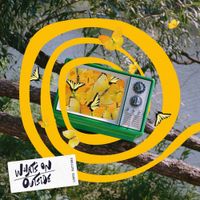 Loose Buttons - What&rsquo;s On Outside