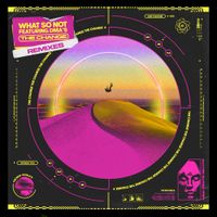 What So Not - The Change Remixes