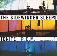 R.E.M. - The Sidewinder Sleeps Tonite