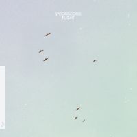 Lycoriscoris - Flight