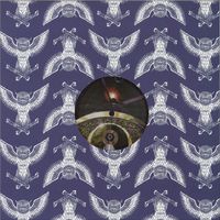 Lander - Transit