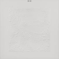 Bon Iver - Bon Iver (10th Anniversary Edition)
