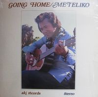 Meteliko - Going Home