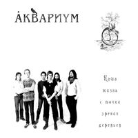 Аквариум [Aquarium] - Наша жизнь с точки зрения деревьев (Our life in terms of trees)