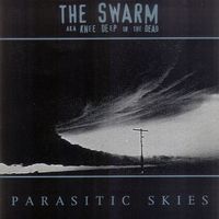 The Swarm Aka Knee Deep In The Dead - Parasitic Skies
