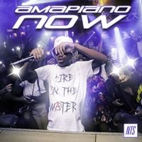 Various Artists - Amapiano Now