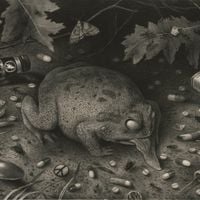 Tusm&oslash;rke - F&oslash;rt bak lyset
