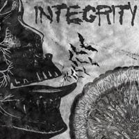 Integrity - Suicide Black Snake