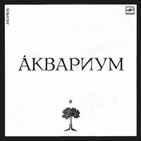Аквариум [Aquarium] - Аквариум (Aquarium)