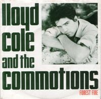 Lloyd Cole and the Commotions - Forest Fire