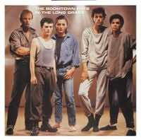 The Boomtown Rats - In the Long Grass