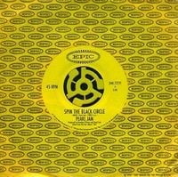 Pearl Jam - Spin the Black Circle