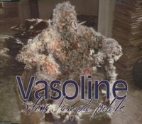 Stone Temple Pilots - Vasoline