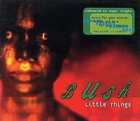 Bush - Little Things