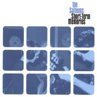 The Salteens - Short-Term Memories