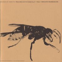 Albro T. Gaul - Sounds of Insects