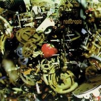 Neotropic - Mr. Brubaker's Strawberry Alarm Clock
