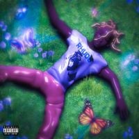 BoofPaxkMooky - Garden 2