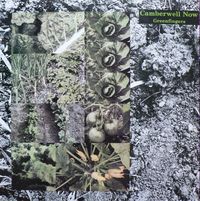 Camberwell Now - Green Fingers