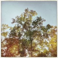 iamjakehill - Waiting to Die