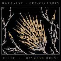 Botanist / Thief - Cicatrix / Diamond Brush