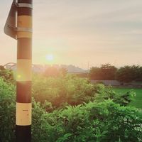 파란노을 [Parannoul] - Into the Endless Night
