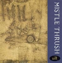 Mistle Thrush - Silt