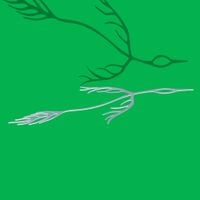 Astrid Sonne - outside of your lifetime