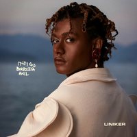 Liniker - Indigo Borboleta Anil