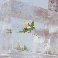Efterklang - Dragonfly