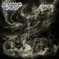 Ascended Dead / Atomicide - Ascended Dead / Atomicide