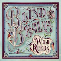 The Wild Reeds - Blind and Brave