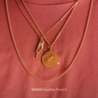 Various Artists - Gouldian Finch 3