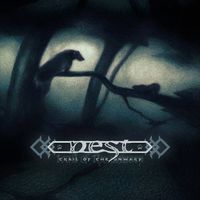 Nest - Trail Of The Unwary