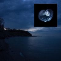 Alexander Panos - always breaking, always healing